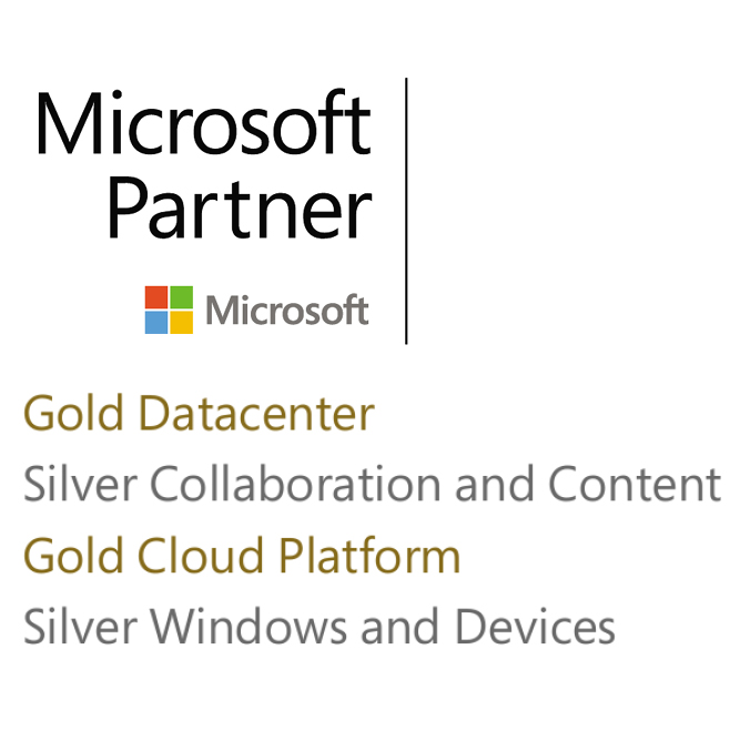 Microsoft Partner Logo