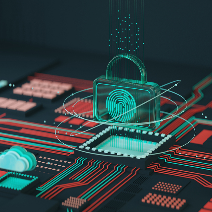 Computer Protection Concept